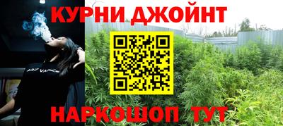 трава Гатчина