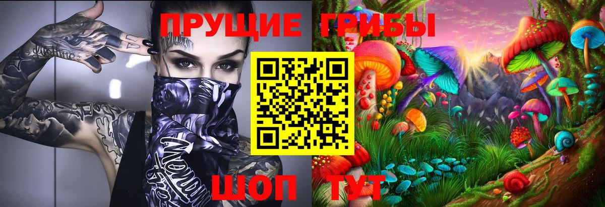 Галлюциногенные грибы MAGIC MUSHROOMS  Вход с VPN  Волхов  Псилоцибиновые грибы мухоморы 