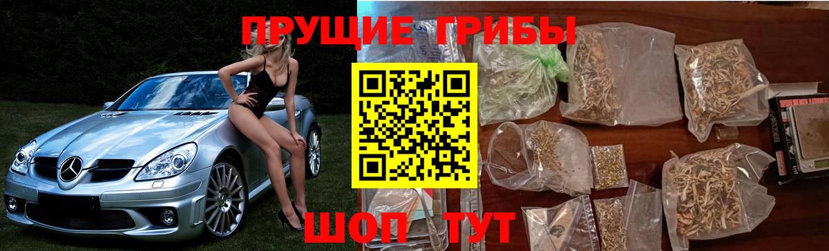 Галлюциногенные грибы мицелий Волхов
